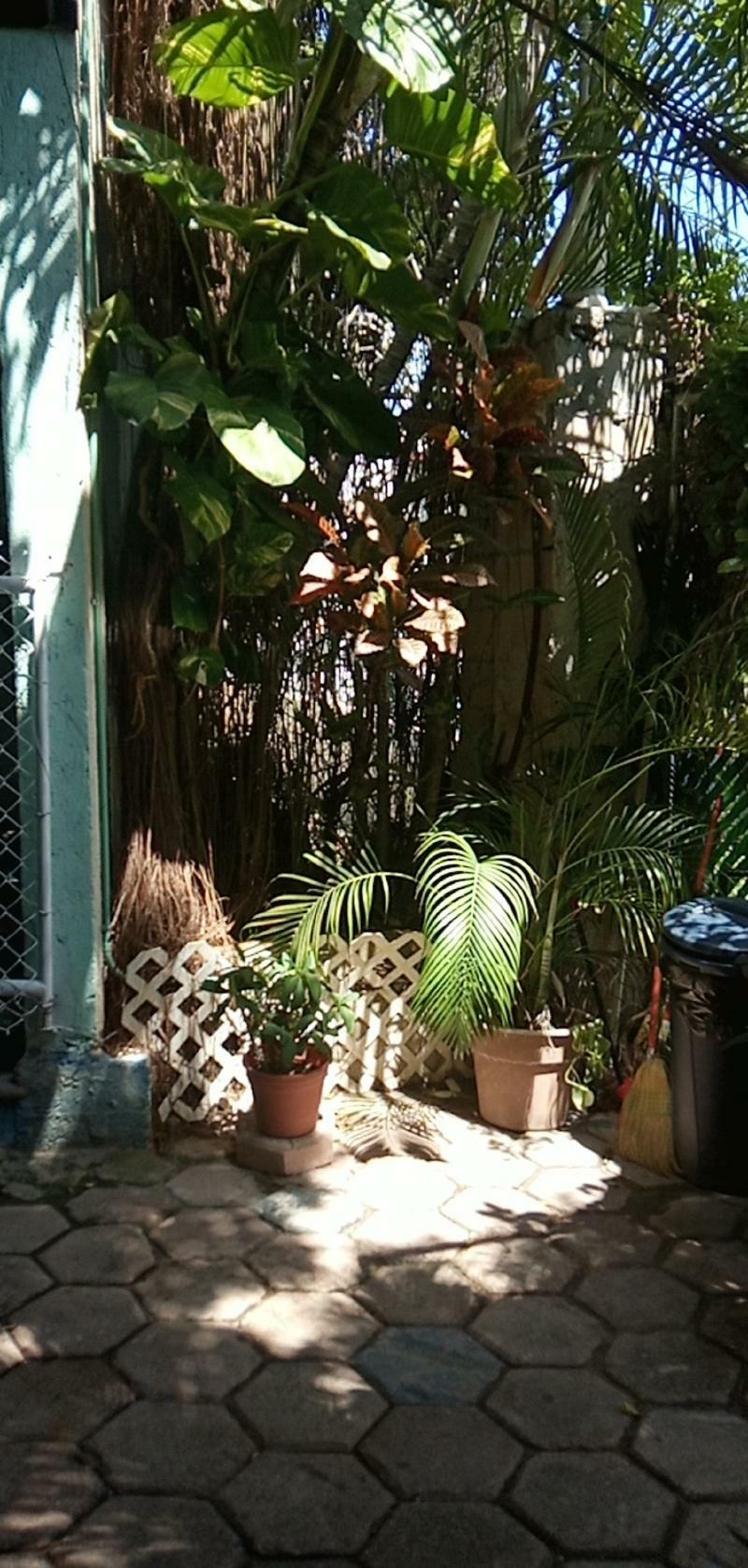 Posada Marpez Cancún Buitenkant foto